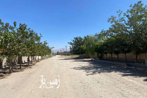زمین در قلب چهار باغ ۱۹۵۰ متر چهار دیواری مشجر درب اهنی-3