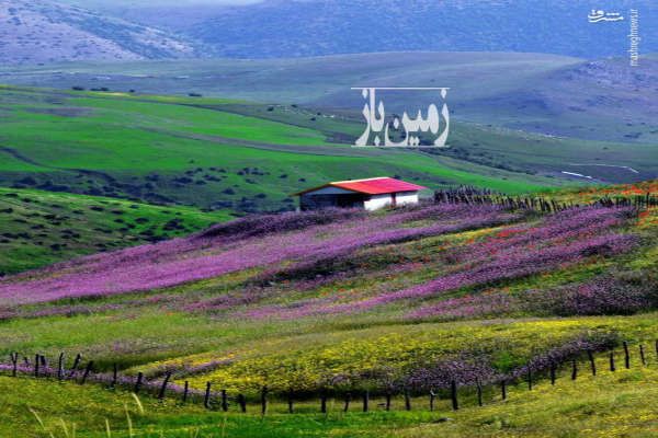 فروش زمین کشاورزی در تالش ۳۰۰۰ متر-1