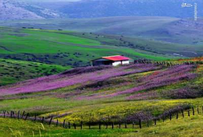 فروش زمین کشاورزی در تالش ۳۰۰۰ متر