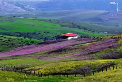 فروش زمین کشاورزی در تالش ۳۰۰۰ متر