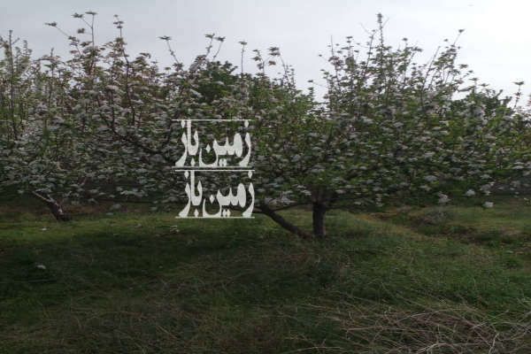 باغ دیوار کشی شده با سند تک برگ روستای قنبر اّباد ۵۰۰ متر-1