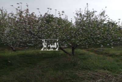 باغ دیوار کشی شده با سند تک برگ روستای قنبر اّباد ۵۰۰ متر