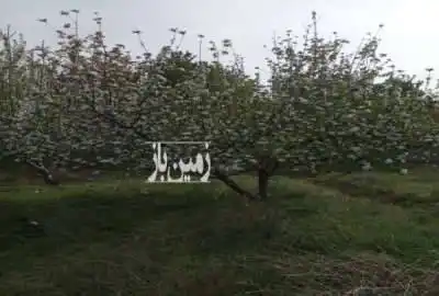 باغ دیوار کشی شده با سند تک برگ روستای قنبر اّباد ۵۰۰ متر