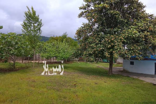 فروش زمین مسگونی و باغی در تالش ۴۰۰۰ متر-4