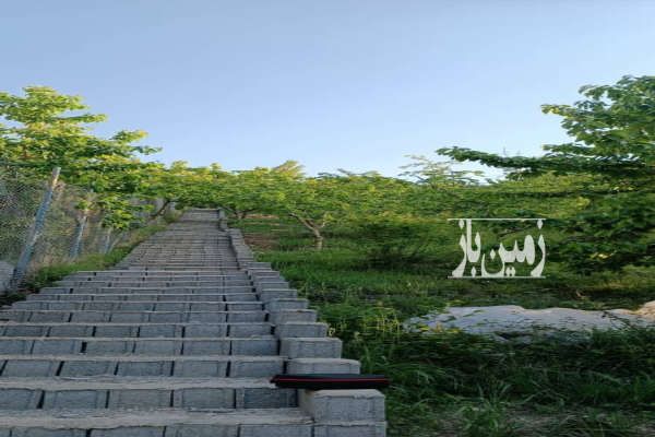 فروش باغ ییلاقی گیلاس در هراز بایجان هفت تن ۱۳۰۰ متر-1