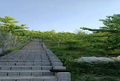 فروش باغ ییلاقی گیلاس در هراز بایجان هفت تن ۱۳۰۰ متر