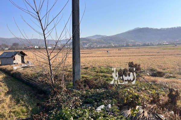 زمین ۱۲۰۰ متر بر اتوبان تهران شمال روستای چالی-1