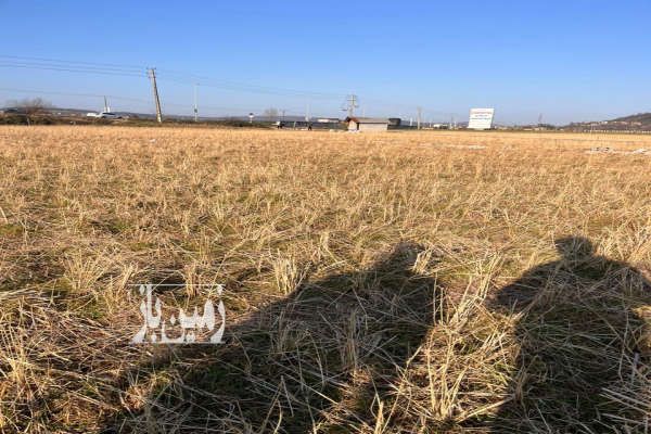 زمین ۱۲۰۰ متر بر اتوبان تهران شمال روستای چالی-2