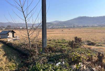 زمین ۱۲۰۰ متر بر اتوبان تهران شمال روستای چالی
