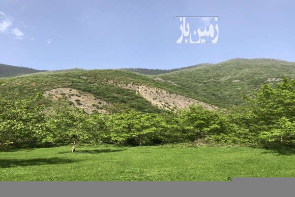 زمین فروش تالش هشتپر ۴۷۲ متر مریان روستای سینه هونی-1