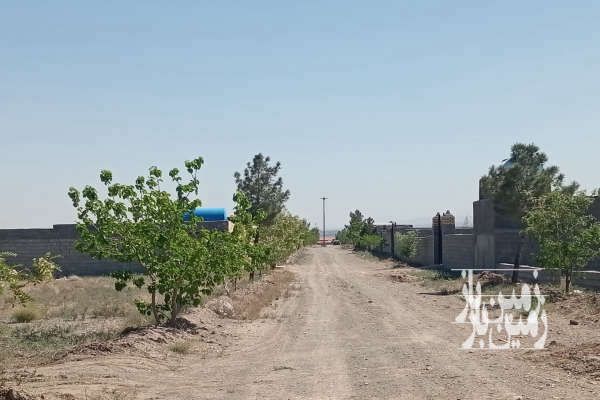زمین ۲۵۰ متری جاده کاهو دولت آباد-3
