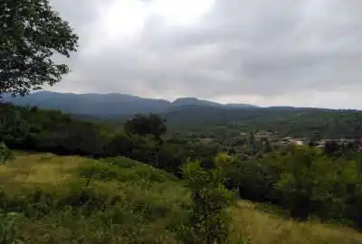 فروش زمین ۵۳۰ متر بهشهر خلیلشهر جاده جنگلی سرخ او