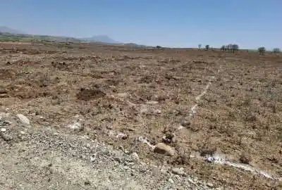 فروش زمین باغی فدک فرهنگیان فاز دوم ۱۰۰۰ متر