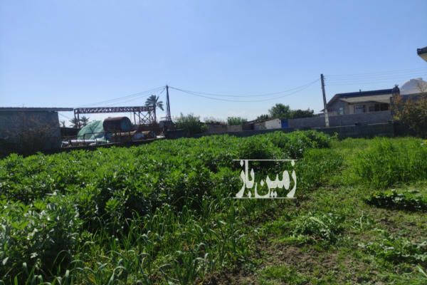 زمین داخل بافت ساری ۴۰۰ متر جاده پلاژ روستای طقدار-1