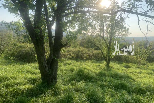 باغ ۶۲۵ متری بعد از جنگل شهید زارع روستای خارکش-4