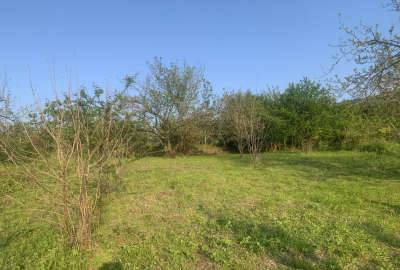 باغ ۶۲۵ متری بعد از جنگل شهید زارع روستای خارکش