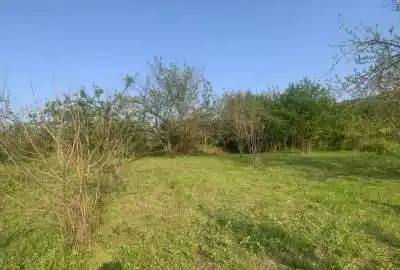 باغ ۶۲۵ متری بعد از جنگل شهید زارع روستای خارکش
