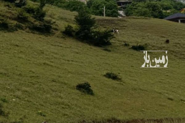 زمین فروش فوری ۷۰۰ متر چالوس روستای زیبای طلاجو-1