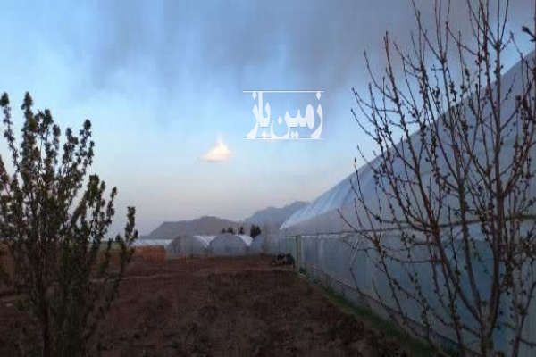 فروش گلخانه ۵۰۰۵ متری شهرک گلخانه ای کوثر در دستجرد قم-3