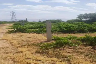 باغ انگور وگردو بسیار سرحال ۲۰۰۰ متر