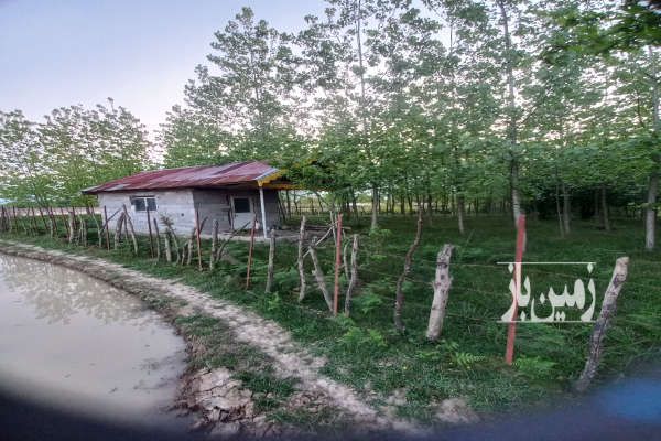 زمین با کاربری باغی ۲۵۰۰ متر رشت روستای خرطوم-1