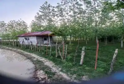 زمین با کاربری باغی ۲۵۰۰ متر رشت روستای خرطوم