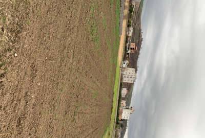 زمین مسکونی ۳۳۳ متر با ویو عالی در نکا روستای زرندین
