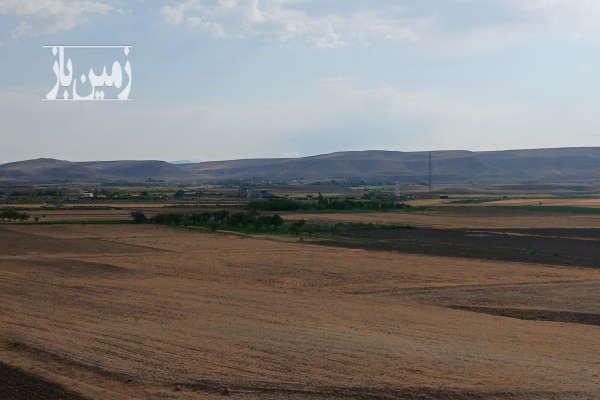 زمین مرغوب با مجوز بره پرواری صنعتی ۴۰۰۰ راسی-2