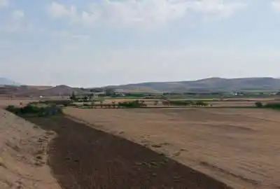 زمین مرغوب با مجوز بره پرواری صنعتی ۴۰۰۰ راسی