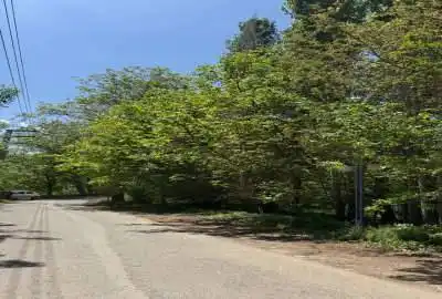 باغ کشاورزی ۳۰۳۳ متر بر حصاربن اونباهون