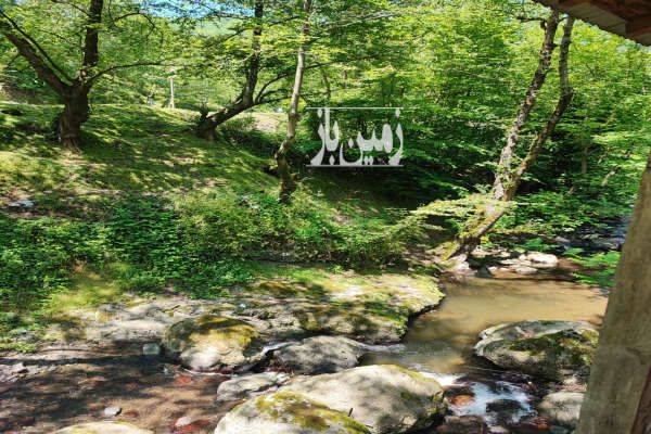 زمین در املش بلوردکان با ویوی بی نظیر ۱۲۳۰ متر-1