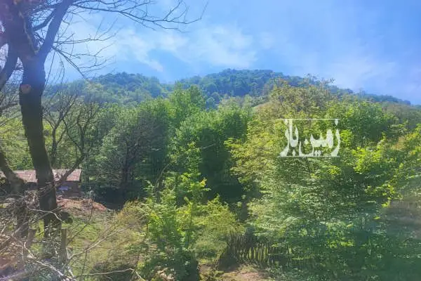 زمین در املش بلوردکان با ویوی بی نظیر ۱۲۳۰ متر - تصویر 2