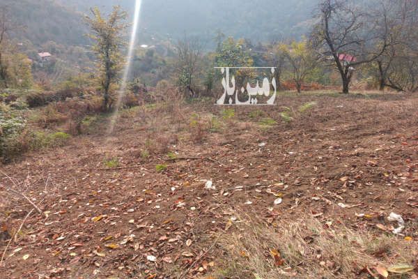 فروش زمین در خطبه سرا تالش روستای انبوه ۳۸۰۰ متر-4