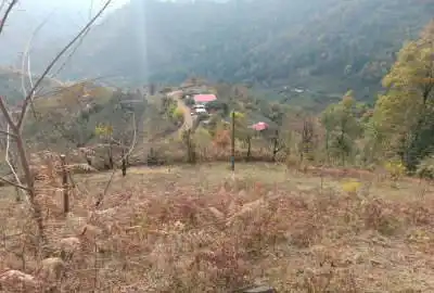 فروش زمین در خطبه سرا تالش روستای انبوه ۳۸۰۰ متر