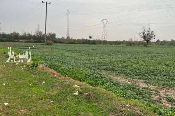 زمین کشاورزی باغی بر جاده ۳۲۰۰ متر-4