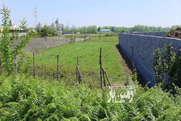 زمین در بهترین نقطه ۸۰۰ متر گیلان صومعه سرا روستای چمن-1