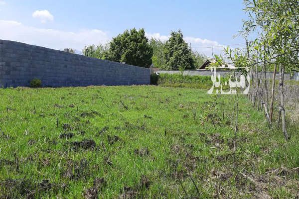 زمین در بهترین نقطه ۸۰۰ متر گیلان صومعه سرا روستای چمن-3