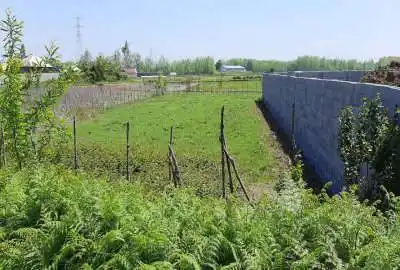 زمین در بهترین نقطه ۸۰۰ متر گیلان صومعه سرا روستای چمن