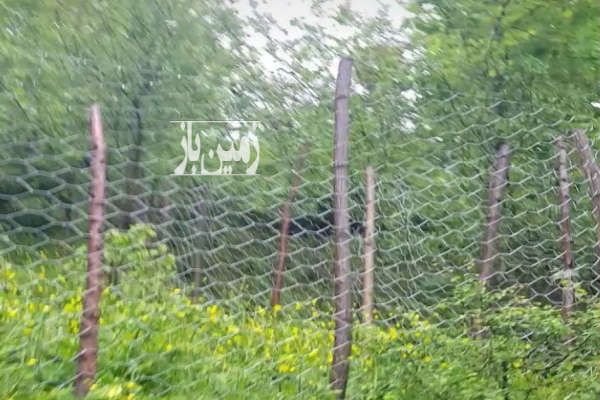فروش زمین مسکونی ۱۰۰ متری انشعابات پای زمین-1