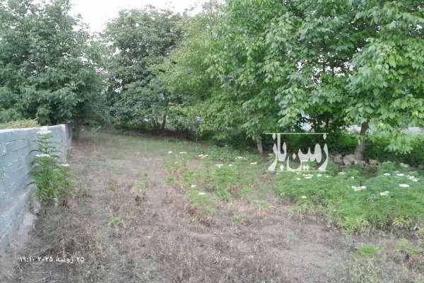 فروش زمین ۴۵۵ متر در روستای زیبای استخرپشت نکا-4