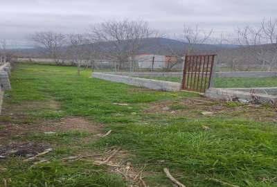 فروش زمین ۴۵۵ متر در روستای زیبای استخرپشت نکا