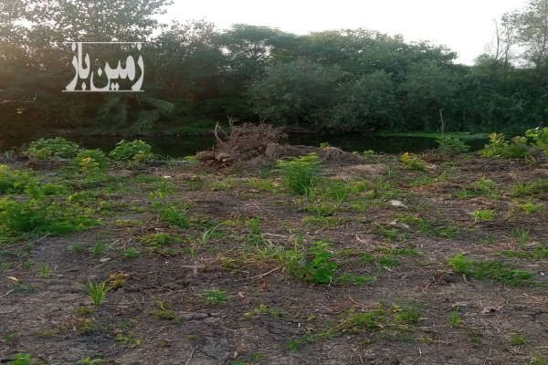 فروش زمین ۱۵۰۰ متر حومه شهر لنگرود و بندر چمخاله-3
