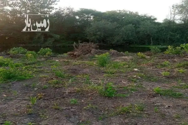 فروش زمین ۱۵۰۰ متر حومه شهر لنگرود و بندر چمخاله - تصویر 3