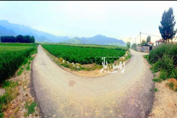 فروش ۶۰۰۰ متر باغ آزادشهر روستای سرکهریزا-1