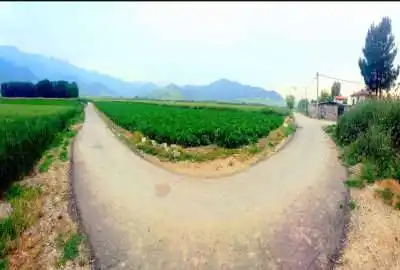 فروش ۶۰۰۰ متر باغ آزادشهر روستای سرکهریزا