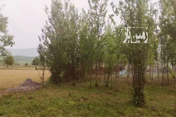 فروش زمین مسکونی روبروی سفیدرود ۱۶۲۰ متر - تصویر 2