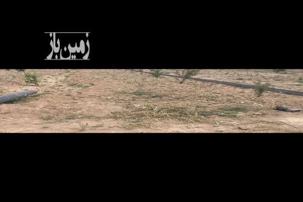 فروش فوری زمین باغی ۵۰۰ متر در صحرای سفید آب حبیب آباد-2