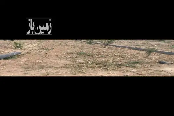 فروش فوری زمین باغی ۵۰۰ متر در صحرای سفید آب حبیب آباد - تصویر 2