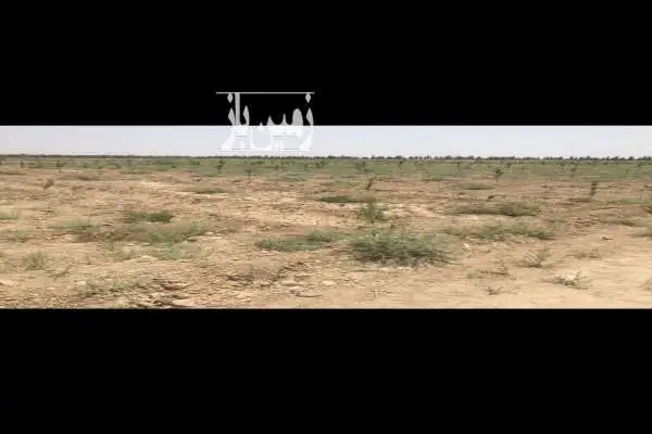 فروش فوری زمین باغی ۵۰۰ متر در صحرای سفید آب حبیب آباد - تصویر 3