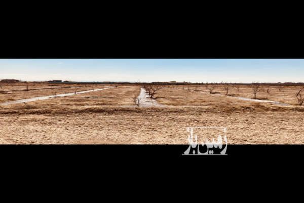 فروش فوری زمین باغی ۵۰۰ متر در صحرای سفید آب حبیب آباد-4